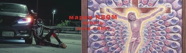 соль ск Дмитриев