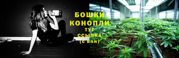 соль ск Дмитриев