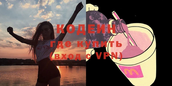 соль ск Дмитриев