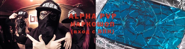 соль ск Дмитриев