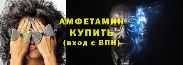 соль ск Дмитриев