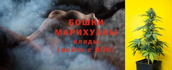 винт Гусиноозёрск