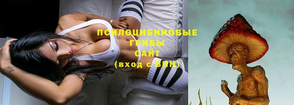 jwh Гусев