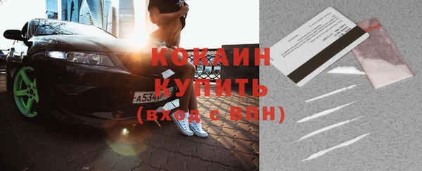 соль ск Дмитриев